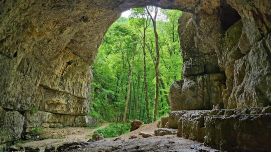 Blick von der Falkensteiner Höhle in Richtung Wald. In der Höhle fand am 1. Mai ein größerer Rettungseinsatz statt. Foto: Stepha Blick von der Falkensteiner Höhle in Richtung Wald. In der Höhle fand am 1. Mai ein größerer Rettungseinsatz statt. Foto: Stepha