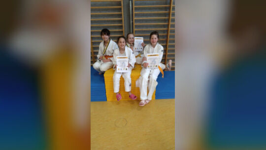Die Kirchheimer Nachwuchsjudoka wollen auch zuhause glänzen. Foto: pr
