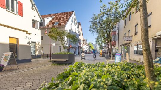 Die Pflanzkübel haben die Dettinger Straße ein bisschen grüner gemacht. Bald werden sie jedoch an andere Stellen versetzt. Foto Die Pflanzkübel haben die Dettinger Straße ein bisschen grüner gemacht. Bald werden sie jedoch an andere Stellen versetzt. Foto