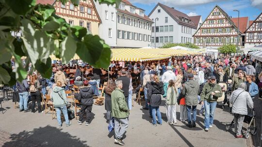 Gut besucht war der "Hock am Markt" der Stadtkapelle Kirchheim auf dem Kirchheimer Marktplatz an Christi Himmelfahrt. Foto: Cars Gut besucht war der "Hock am Markt" der Stadtkapelle Kirchheim auf dem Kirchheimer Marktplatz an Christi Himmelfahrt. Foto: Cars