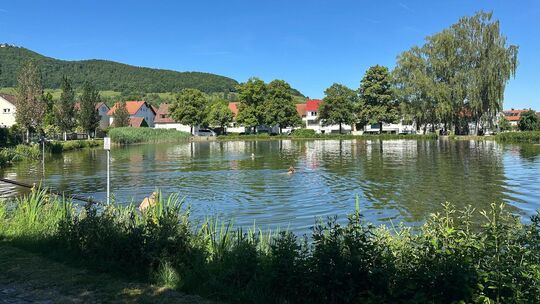 Am Bissinger See gibt es für Kinder einen ausgewiesenen Flachwasserbereich. Fotos: Jule Störk Am Bissinger See gibt es für Kinder einen ausgewiesenen Flachwasserbereich. Fotos: Jule Störk