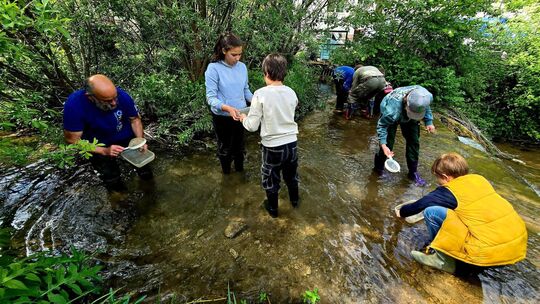In Neidlingen geht es für die angehenden Junior-Ranger in die Lindach. Welche Lebewesen dort wohl zu finden sind? Foto: Katja E In Neidlingen geht es für die angehenden Junior-Ranger in die Lindach. Welche Lebewesen dort wohl zu finden sind? Foto: Katja E