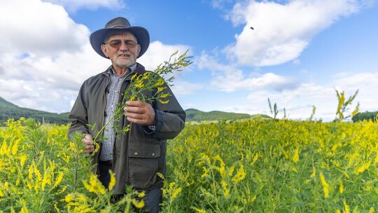 Der Bissinger Landwirt Hans Ederle gehört mit Sohn Georg Ederle zu den Blühpaten des "Bienenstrom"-Projekts der Stadtwerke Nürti Der Bissinger Landwirt Hans Ederle gehört mit Sohn Georg Ederle zu den Blühpaten des "Bienenstrom"-Projekts der Stadtwerke Nürti