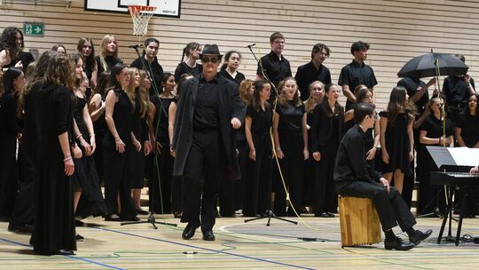 Über 220 Schülerinnen und Schüler standen beim Sommerkonzert des Ludwig-Uhland-Gymnasiums gemeinsam auf der Bühne. Foto: pr