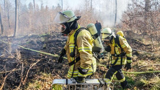 Das sonnige und trockene Wetter lässt die Waldbrandgefahr steigen. Foto: SDMG / Kohls Das sonnige und trockene Wetter lässt die Waldbrandgefahr steigen. Foto: SDMG / Kohls