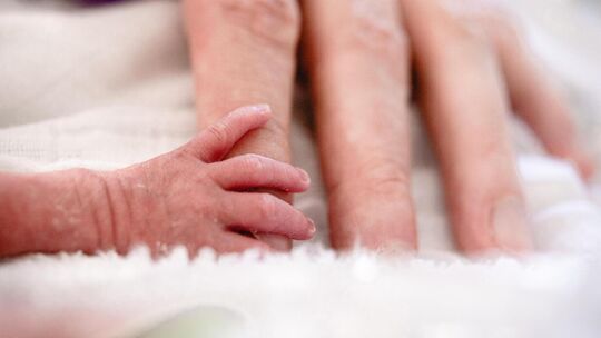 In den vergangenen zwölf Monaten wurden 27 sehr junge Frühchen in Esslingen behandelt. Foto: Klinikum Esslingen In den vergangenen zwölf Monaten wurden 27 sehr junge Frühchen in Esslingen behandelt. Foto: Klinikum Esslingen