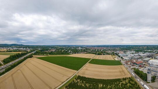 Das Gebiet zwischen Autobahn und Tannenbergstraße soll ab Frühjahr 2027 erschlossen werden. Foto: Carsten Riedl