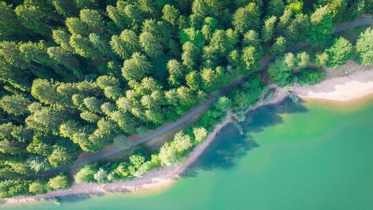 Die Nagoldtalsperre im Naturpark Schwarzwald Mitte-Nord. Foto: TMBW, Dietmar Denger Die Nagoldtalsperre im Naturpark Schwarzwald Mitte-Nord. Foto: TMBW, Dietmar Denger
