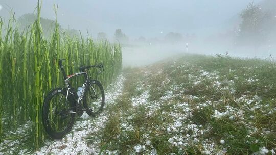Der plötzliche Hagel sorgte nicht nur für Gefahr für den Biker, sondern zerstörte auch Maisfelder. Foto: pr Der plötzliche Hagel sorgte nicht nur für Gefahr für den Biker, sondern zerstörte auch Maisfelder. Foto: pr