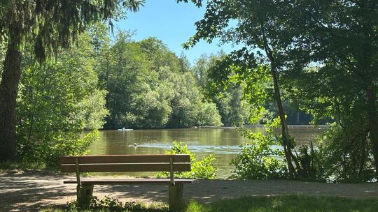 Im Unteren See kann aktuell bedenkenlos gebadet werden – auch dank der Bemühungen der Stadt, die Gänse zu vergrämen. Dieses Foto Im Unteren See kann aktuell bedenkenlos gebadet werden – auch dank der Bemühungen der Stadt, die Gänse zu vergrämen. Dieses Foto