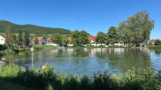 Die Wasserqualität des Bissinger Sees ist - anders als von manchen befürchtet - hervorragend. Archivfoto: Jule Störk Die Wasserqualität des Bissinger Sees ist - anders als von manchen befürchtet - hervorragend. Archivfoto: Jule Störk