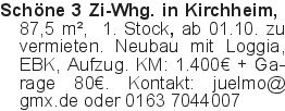 Schöne 3 Zi-Whg. in Kirch