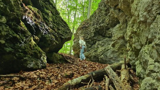 Tiefe Spalten und Klüfte reißen die Oberfläche der SchwäbischenAlb auf und reichen bis weit in ihr Inneres. Fotos: Stephanie Reu Tiefe Spalten und Klüfte reißen die Oberfläche der SchwäbischenAlb auf und reichen bis weit in ihr Inneres. Fotos: Stephanie Reu