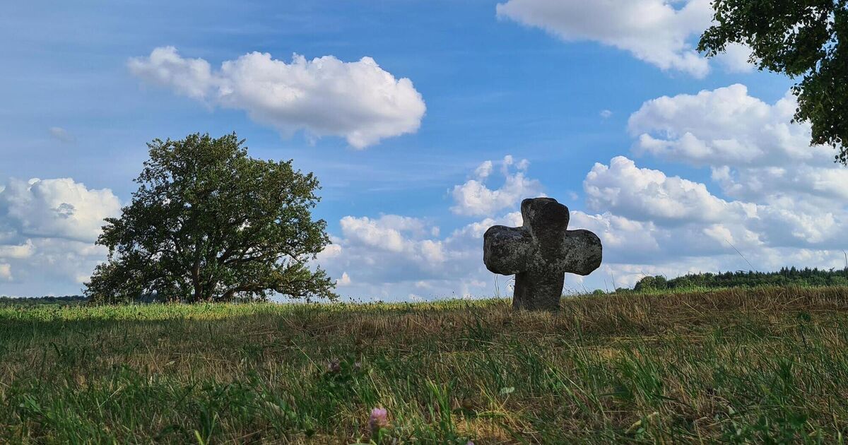 Ancient witnesses to murder, guilt, and atonement