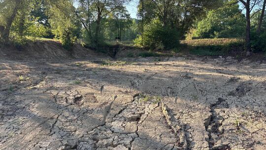 Der Kirchheimer Sonnensee liegt wegen Sanierungsarbeiten trocken. Foto: Iris Häfner