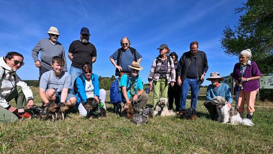 Sechs Dackel und zwei Mischlinge nahmen ihre Herrchen und Frauchen mit durchs Schopflocher Moor. Foto: Markus Brändli