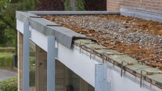 Kupferdiebe haben die Abdeckung an der Dettinger Aussegnungshalle gestohlen. Kupferdiebe haben die Abdeckung an der Dettinger Aussegnungshalle gestohlen.