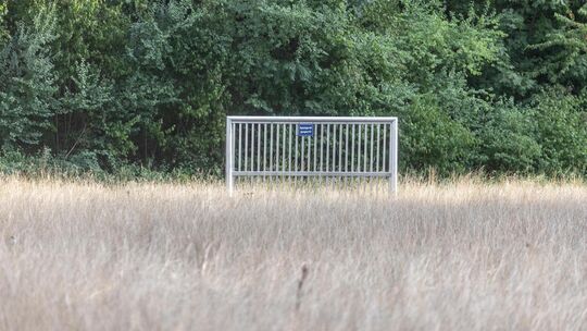 Aktuell ist der Bolzplatz in der Verlängerung der Pfaffenhalde noch völlig überwuchert. Foto: Carsten Riedl Aktuell ist der Bolzplatz in der Verlängerung der Pfaffenhalde noch völlig überwuchert. Foto: Carsten Riedl