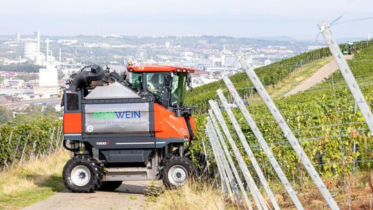 Der Vollernter verleiht den Winzern die Möglichkeit, größere Flächen in kurzer Zeit zu lesen. Foto: Tim Kirstein