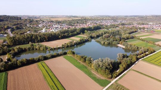 In Neckartailfingen darf nun wieder gebadet werden. Foto: stock.adobe.com In Neckartailfingen darf nun wieder gebadet werden. Foto: stock.adobe.com