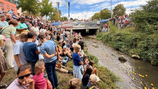 Das Entenrennen war einer der Höhepunkte des Jesinger Fests: Rund 2000 Gummienten gingen dabei an den Start. Foto: Jule Störk