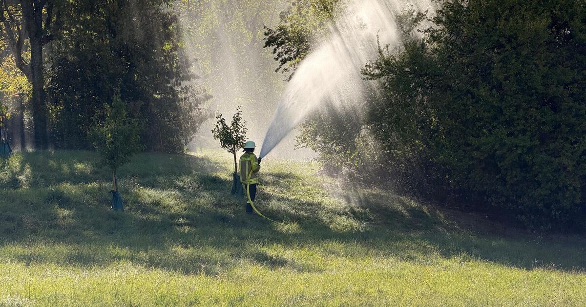 „Brand“ beim Naturkindergarten in Lenningen: Premiere mit drei Feuerwehren