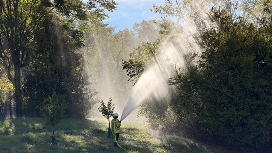 So schön kann eine Vegetationsbrandübung in der Morgensonne aussehen. Foto: Jule Störk So schön kann eine Vegetationsbrandübung in der Morgensonne aussehen. Foto: Jule Störk