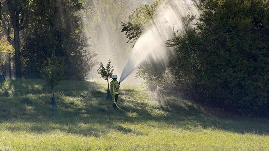 So schön kann eine Vegetationsbrandübung in der Morgensonne aussehen. Foto: Jule Störk