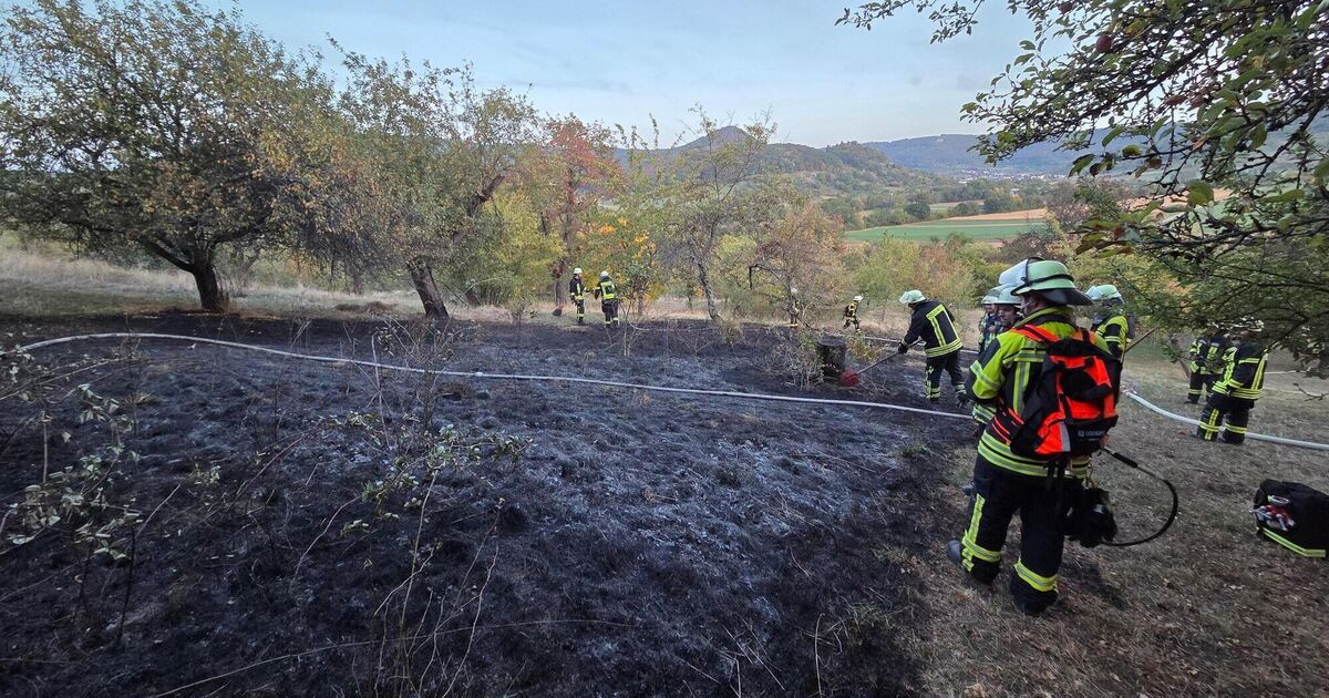 Orchard meadow near Limburg is on fire