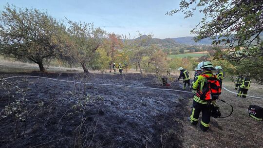 Die betroffene Fläche befindet sich südöstlich unterhalb der Limburg. Foto: Freiwillige Feuerwehr Weilheim