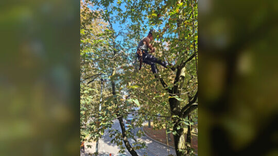 Hannes Tegethoff im Einsatz. Foto: Thomas Zapp