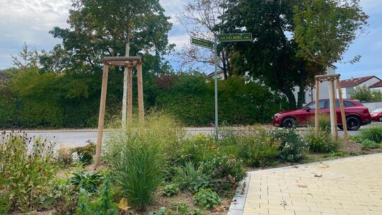 In der Südstadt schmückt nun deutlich mehr Grün den Straßenraum. Foto: Antje Dörr