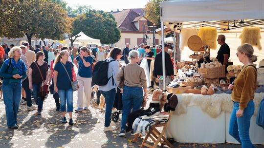 Kirchheimer Wollmarkt an der Wollmarktstraße. Weil das Schloss nicht zur Verfügung stand, ist der Markt mit Angeboten rund ums S