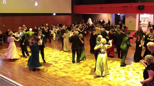 Der Druidenball in der Nürtinger Stadthalle K3N. Foto: Michael Heyde