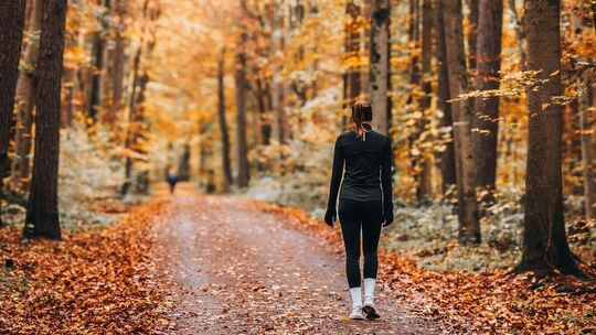 Neben den biochemischen Vorzügen punktet der Herbstwald mit handfesten Vorteilen für den Bewegungsapparat. Foto: Pexels / Masood
