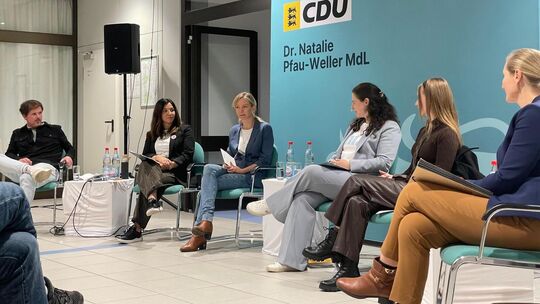 Die CDU-Abgeordnete Natalie-Pfau Weller (Dritte von rechts) hatte Experten eingeladen.