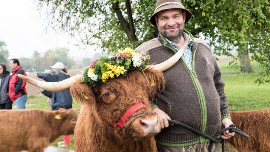 Albabtrieb bei der Scheuer Devaux