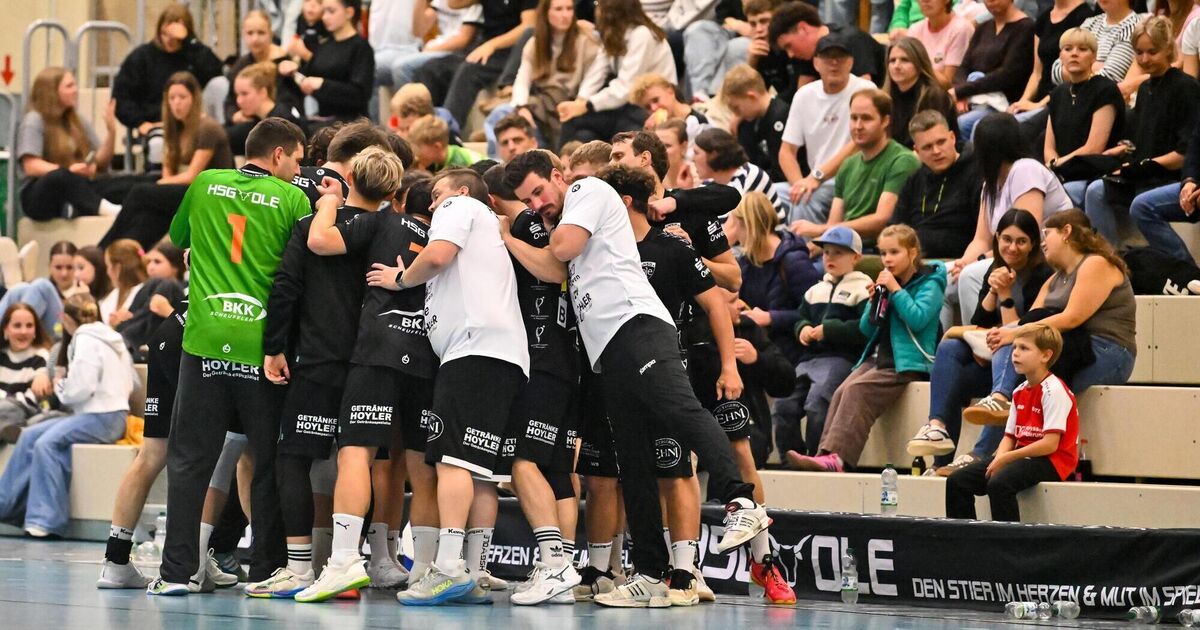 HSG OLE: Die richtigen Antworten finden