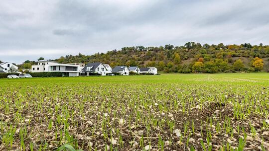 Hier hat die Stadt vor Jahren ein großes Neubaugebiet in Betracht gezogen. Erfahren die Pläne jetzt ein Revival? Foto: Carsten R