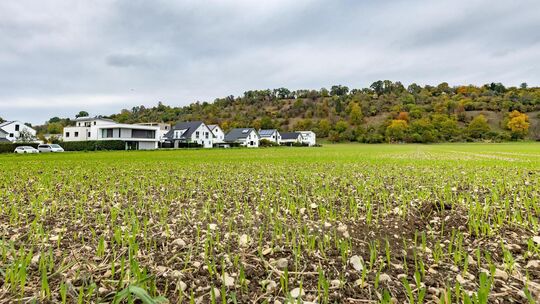 Hier hat die Stadt vor Jahren ein großes Neubaugebiet in Betracht gezogen. Erfahren die Pläne jetzt ein Revival? Foto: Carsten R