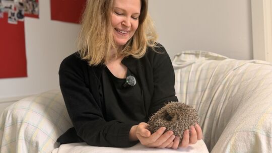 Marleen Job kümmert sich im Kirchheimer Tierschutzverein um die Aufzucht und Pflege von verwundeten oder jungen Igeln, bis sie b
