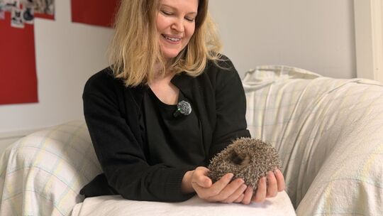 Marleen Job kümmert sich im Kirchheimer Tierschutzverein um die Aufzucht und Pflege von verwundeten oder jungen Igeln, bis sie b
