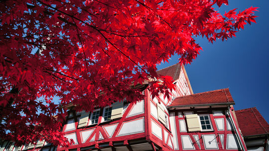 Das Schlössle in Oberlenningen.