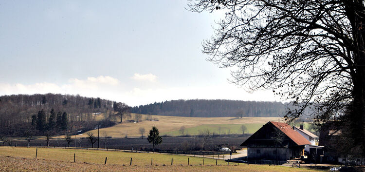 Blick vom Reußensteinhof über die Straße zum Feldkopf (am Horizont) mit dem ¿Bronnenwald¿. Dort soll der Baumwipfelpfad auf eine