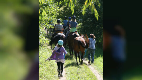 Auf dem Rücken der Pferde die Freiheit genießen ¿ dies war bei einer Ferienfreizeit rund um Neidlingen möglich. Dabei lernten di Auf dem Rücken der Pferde die Freiheit genießen ¿ dies war bei einer Ferienfreizeit rund um Neidlingen möglich. Dabei lernten di