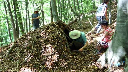 Wildnisfreizeit mit PferdenWald Wildnisfreizeit mit PferdenWald
