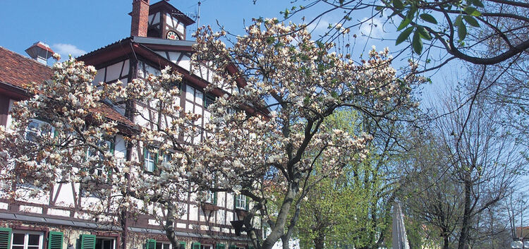 Frühling , Wachthaus , Biergarten, Magnolienbaum