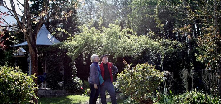 Heide-Marie und Heinz Bauer begutachten die Frostschäden in ihrem Garten.Fotos: Cornelia Wahl