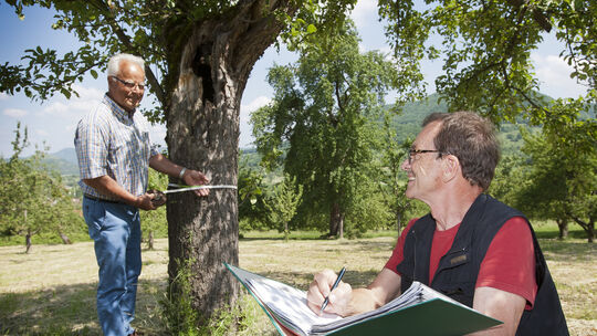Bis auf den letzten Zentimeter: Roland Thaler misst den Umfang, und Rolf Braun notiert sich alle Details.Foto: Jean-Luc Jacques Bis auf den letzten Zentimeter: Roland Thaler misst den Umfang, und Rolf Braun notiert sich alle Details.Foto: Jean-Luc Jacques