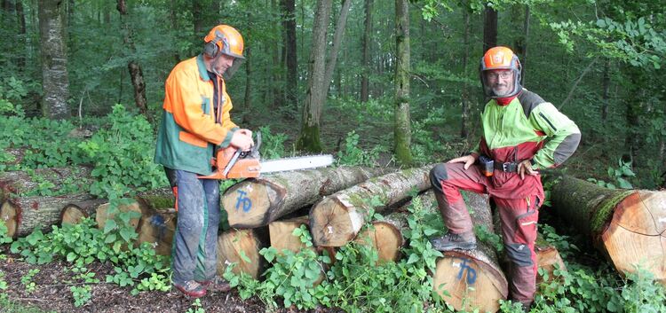 Wald- und Forstarbeiter haben ein erhöhtes Risiko, sich mit dem Hanta-Virus anzustecken. Fotos: Cornelia Wahl/Hlasek